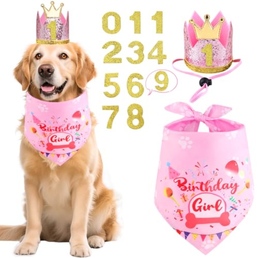 Pet X Supplies & Tack Reviews - Dog Birthday Party Supplies, Dog Birthday