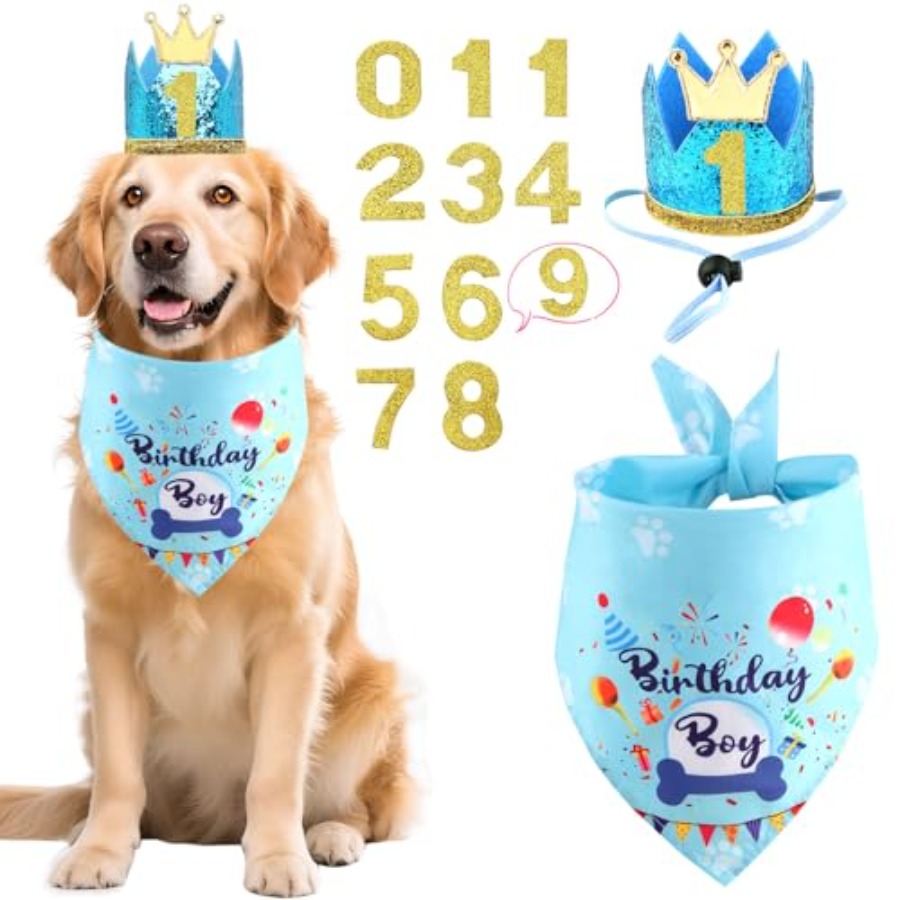 Pet X Supplies & Tack Reviews - Dog Birthday Party Supplies, Dog Birthday