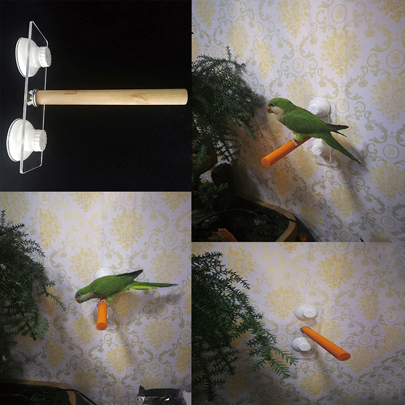 1/2ps Parrot Pet Raw Standing  - огляд і ціна Pet X Supplies & Tack Reviews