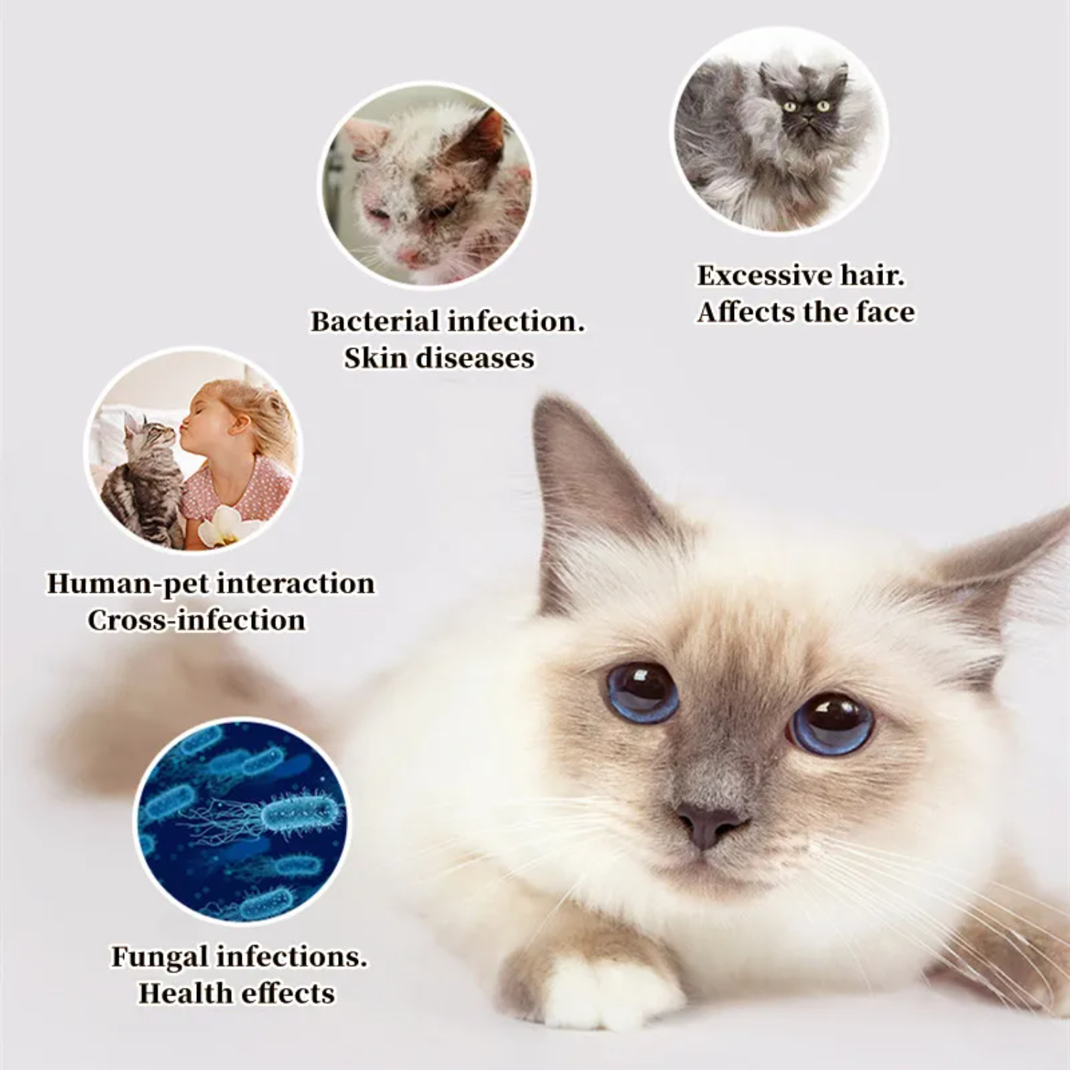 Cat Comb Dog Hair Remover Brus - огляд і ціна Pet Supplies Grooming Hours