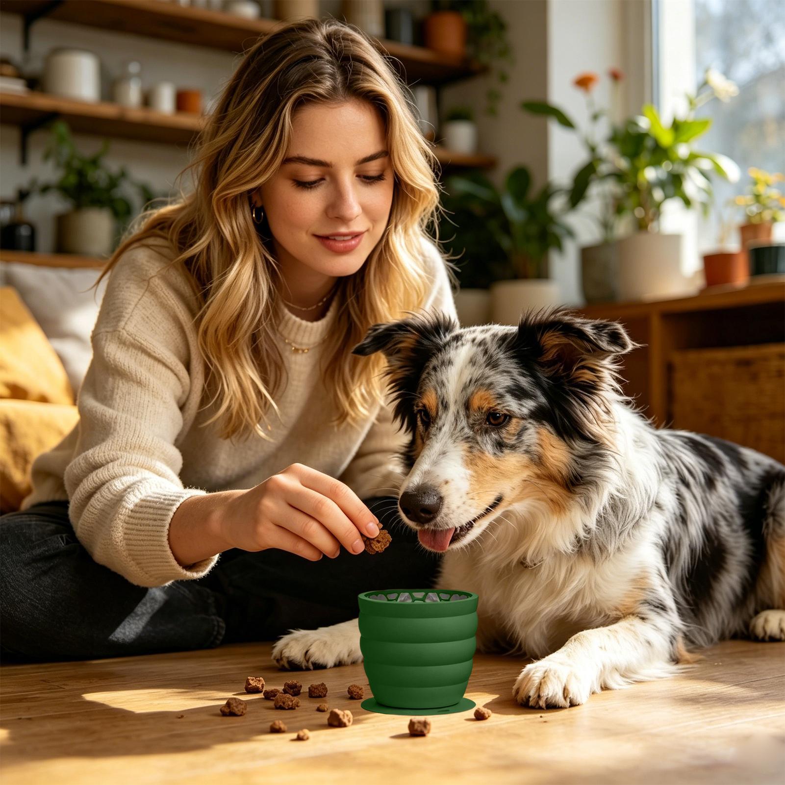 Slow Feeder Silicone Pet Bowl  - огляд і ціна Slow Feeder Dog Bowl