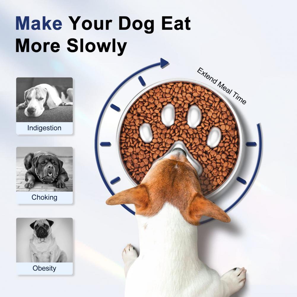900ml Dog Slow Feeder Bowl Ant - огляд і ціна Slow Feeder Dog Bowl