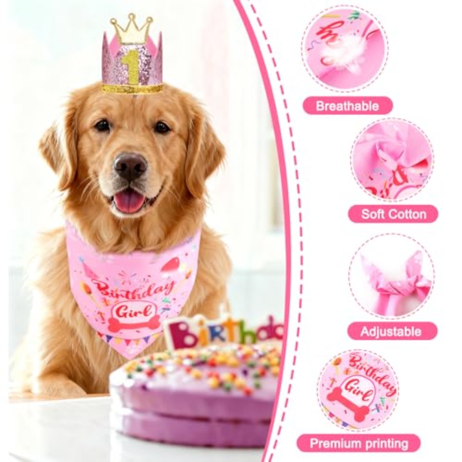 Dog Birthday Party Supplies, D - огляд і ціна Pet X Supplies & Tack Reviews