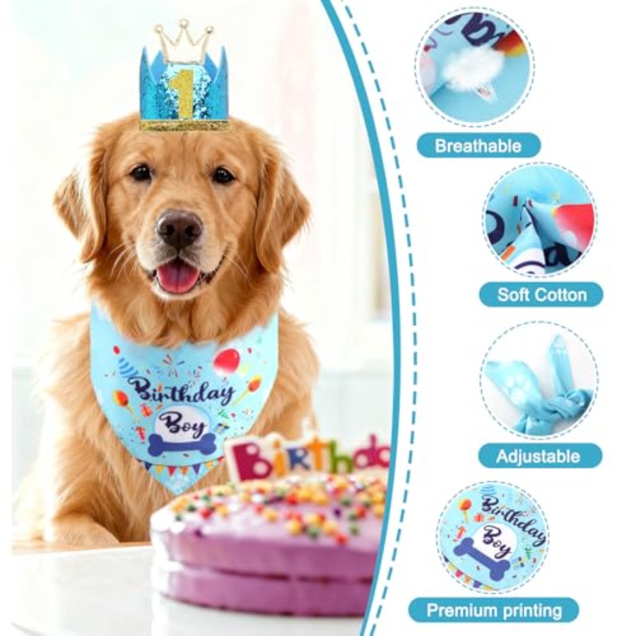 Dog Birthday Party Supplies, D - огляд і ціна Pet X Supplies & Tack Reviews